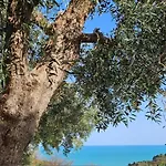 Podere Miray Torre di Palme