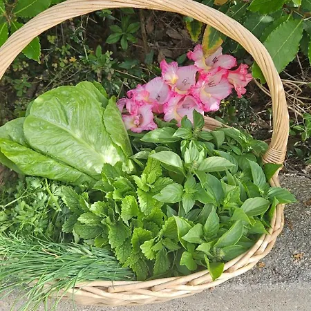 בית חווה Podere Miray