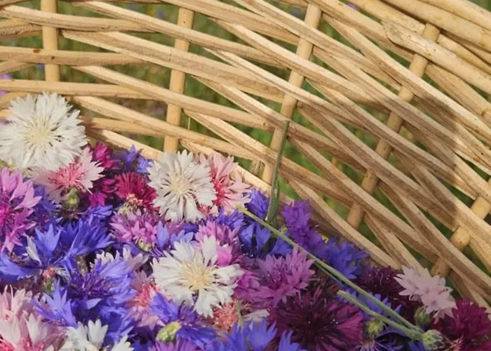 Alloggio per agriturismo Podere Miray *